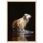 85e779de-13eb-4072-83cd-0e94e51b3a20