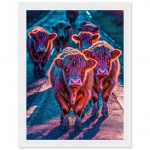 871960e7-4fdc-4ab5-ac76-598fecff9718