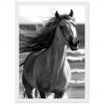 87c0ea82-a065-4596-8f48-890928d5f3d4