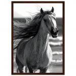 87f2857d-b383-4ed8-9946-eeec5cbdc083