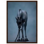 885cdb9b-1b6f-469b-a32f-0684e5546bdd