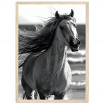 88d5a635-52fb-44aa-80e5-3ad0b70ca029