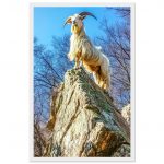 8a19409e-4c5a-4284-960c-d2987b7d19ae