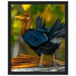 8a7be861-d723-4633-a245-8e46f70e8a9a