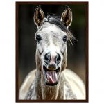 8c995a08-dd47-4de0-86f5-9371a9edf40f