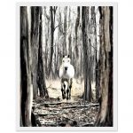 8cea7aef-e267-46e5-84ca-7d025c09e5fb