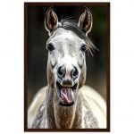 917ce580-8915-4cca-9eca-71b60d2619bd