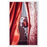 920c2001-9ec3-428b-9f10-98f05645665e