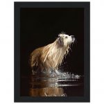 927c288d-93ba-4630-91f5-4e804f2aa450