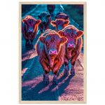 939f84a6-2400-427a-ad97-1e6d1587568a