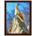 940bcd65-41b4-45f0-a981-212028594528