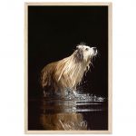 94e4e962-c3a7-432d-9d19-5e8af31b8fef