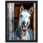 960ff02e-ff4f-4203-b598-825331a777a0