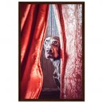 975359fa-c238-47d2-84ec-47de86d9949d