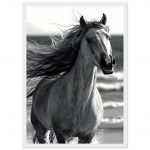 9902ffbe-ad46-4948-88df-485cb1b5030c