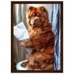 9b1f6cad-3d1f-4239-85be-1122c3d11e57