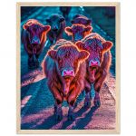 9b71485a-767f-4646-af98-2b296f76ee1e