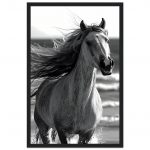 9df4a721-db31-4e4d-97c8-9ef4f921e3cf