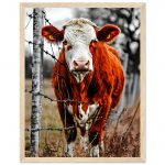 9fdd46f0-db30-4a45-b54f-35b1dec14997