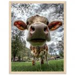 a03b9568-190e-45a1-9ae5-08adabafb09b