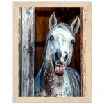 a0dfd2cc-3b22-405d-a9d5-c10efd6fa49a