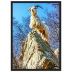 a431aead-e6ae-4416-bf17-c3c5b607d01e