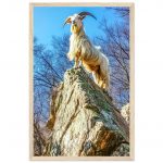 a71c258f-d4e7-40a6-9c5e-9974ace3c64c