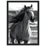 aaed19c8-e8c7-4bcd-8fbd-7aeae81f0f7d