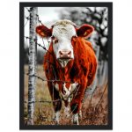 aafb11d1-440d-4521-a28f-a31d6227832e