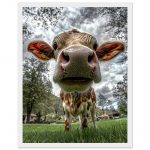 ad792f7a-be4b-49ad-b5a5-6c34a9a2d0cf