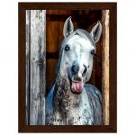 ae147c7a-234e-4fbc-b5ff-4062d4599d2a