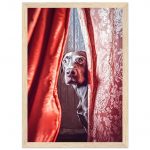 af88b2fb-6484-4638-8377-e4827b719a4b