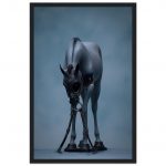 b121e9a3-4094-492b-aa10-7e99f5a27e20