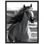 b1bec1c9-52ab-4835-88e0-2028d1bfa47c