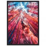 b52480b5-9e71-445c-85ea-054feb130aca