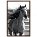 b69510ca-39d8-4f5b-a252-9eeb527de257