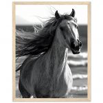 b85d60dd-4e0c-4981-9e0b-fe8e9d62929e