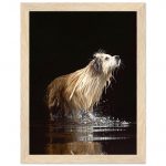 b9dc99c5-2777-4668-927e-03ce9814efa2