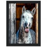 ba40d931-ca6e-44c0-a14e-e053c3eff4e0