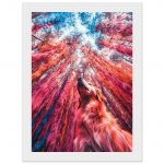 ba5dce28-b9d4-418f-8826-18f56bbb7b56