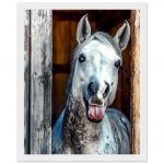 bafc365a-8ef2-461d-acd0-512552c8e55a