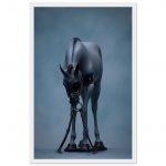 bc43a30a-f834-4ca3-b150-f13c3aceaa52