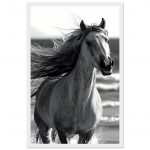 bc953e78-64ed-468a-a03f-1226d4021fe8