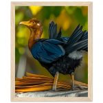 bcd5c679-0801-436b-9fc1-64746ca33133