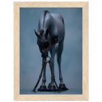 bd42d8cf-21e7-41ba-9858-61be0e57cda4