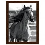 bde352e1-2cbf-44fc-bc18-aeb112942437