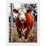 bfdc83f9-048a-4656-984e-882be5abd7cc