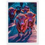 c1ab4b98-7013-4d27-8857-df96239da581