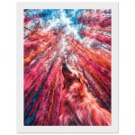 c54b2f5e-71fb-4059-a481-4db0993af6da