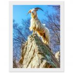 c5f1891a-46e7-45e4-899c-8e67f6ee81ed